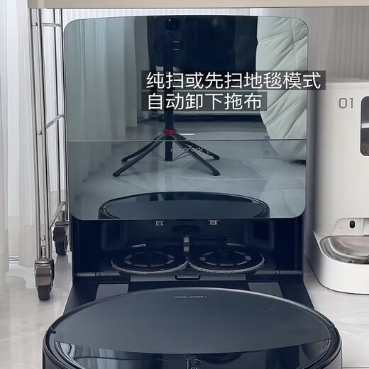 Zhijie Stone G20S Ultra-geschwungener Roboter Ultra-dünner Körper selbstverpackter Staub trocknen Anti-Winding-Feger und Wisching integriertes G20S Ultra (Geschenkgeschenk) Wassertankversion