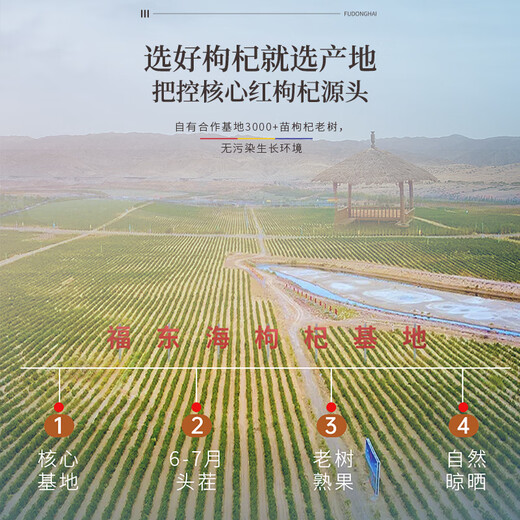 Fudonghai Ningxia Special Red Wolfberry 500g First new product Authentic Zhongning Disposable Gouqi Wolfberry Tea Soaked in Water