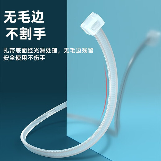 山泽 自锁式尼龙扎带 线缆电脑桌面装机 园艺理线束线捆扎多功能绑带 专业自锁式 透明尼龙扎带 100根【100*2.5mm】HZD-12