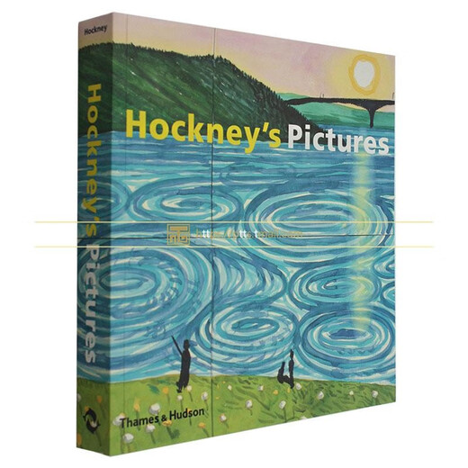 现货包邮 原版 Hockney's Pictures by David Hockney 大卫.霍克尼画册 绘画集 霍克尼的照片 英文原版