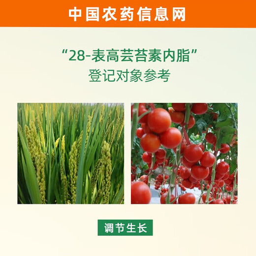 0.004%28 Epi-high brassinolide brassin lactone tomato rice brassinoids plant growth regulator 100g