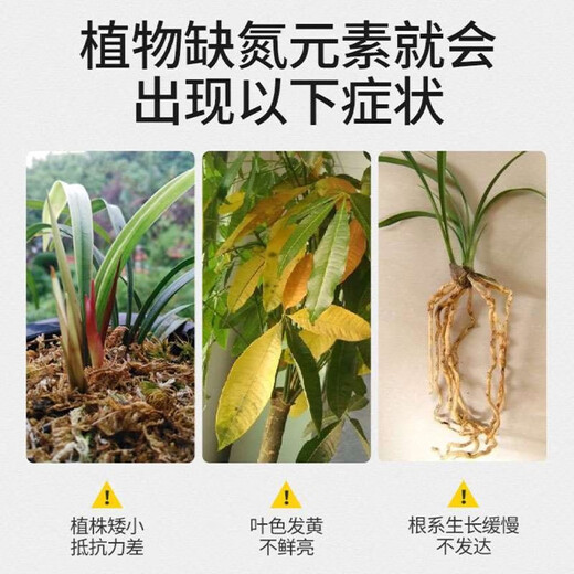 尿素速效氮肥蔬菜农用种菜种花家用盆栽通用型花卉化肥肥料100斤 1斤尿素高纯度超长肥效
