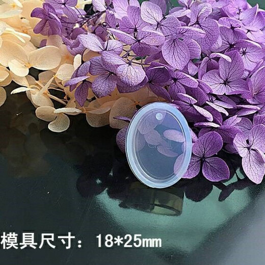 Fat Donglai quality amber insect diy material specimen epoxy resin ab glue crystal glue mold collection from five combinations