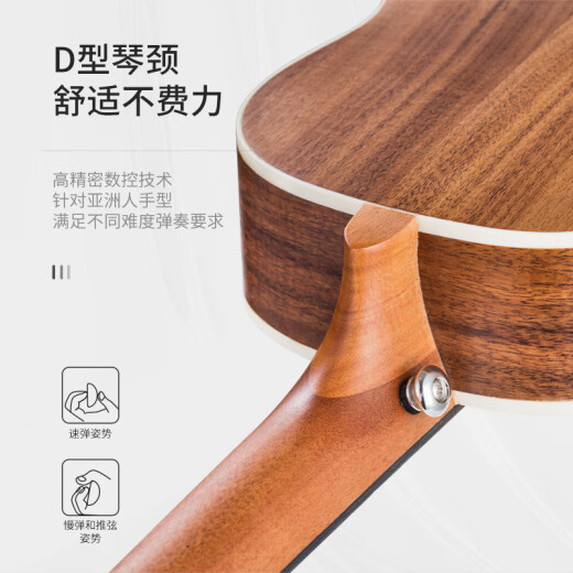 ACACIA Bird Ukulele Ukulele Ukulele Small Guitar Great Examing Play Acacia Wood 23 pulgadas