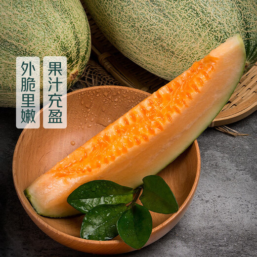 Directly sourced from the origin, Hainan Xizhou honeydew melon single piece 1.6kg