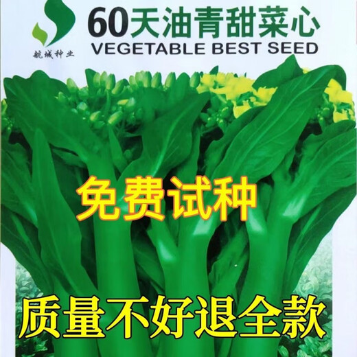 60-day oily green beetroot seeds, early maturing and high temperature resistant, spring and autumn four-season super beet moss seeds, farm vegetable seeds, 60-day oily green beetroot seeds, original factory packaging of 5 packs