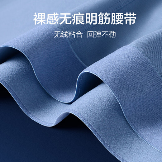 Made in Tokyo [long-staple cotton endurance pants] 80-count Xinjiang cotton men's underwear men's 5A antibacterial inseam 3-piece combination 2: XXXL