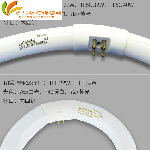 Changwan Ring Lamp T5T8 Circular Tletl5c22W32W40W Couleur à trois primaires lampe fluorescente à quatre broches TL5C 32W / 86 EB-C12222W Ballast électronique