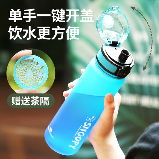 Snoopy (SNOOPY) children's water cup summer portable large-capacity drop-proof and leak-proof drinking cup for male and female primary school students one-click direct drinking cup blue