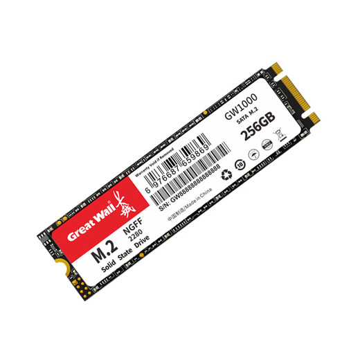 Great Wall 256GB SSD solid state drive M.2 interface SATA protocol reading speed 540MB/S GW1000 series