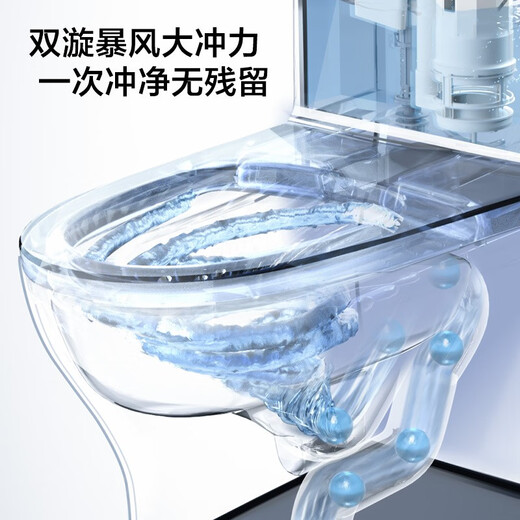 Jomoo Jiumu Baño Store Glaze para el inodoro Sifón Suphón Baño de ahorro de agua INDOUMISO ALODARIO 1396 Instalación del modelo de impulso de sifón 305 mm