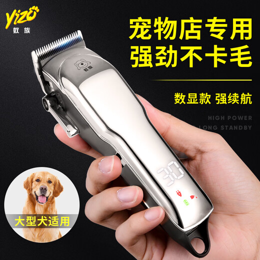 Ant Professional Pet Shaver Dog Electric Clipper for Large Dogs Golden Retriever Teddy Curly Dog High Power Electric Clipper S10