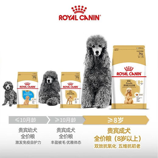 ROYAL CANIN Royal Dog Food PDA26 Poodle Teddy Old Dog Food-Age 8+ Full Price Food [>8 Years] PDA26 Poodle Old Dog 3KG