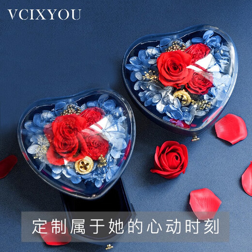 VCIXYOUPT950 Platinum Heart of the Ocean Diamond Necklace for Women to Confess Your Heart Anniversary Birthday Gift for Girlfriend Platinum Heart of the Ocean Necklace + Love Gift Box