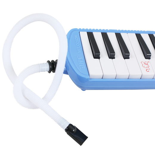 Chimei Free Engraving DHS Mouth Organ 37 Key Beginner Instrument for Classroom Teaching for Primary and Secondary School Students 37 Key Pink + Full Set of Gifts