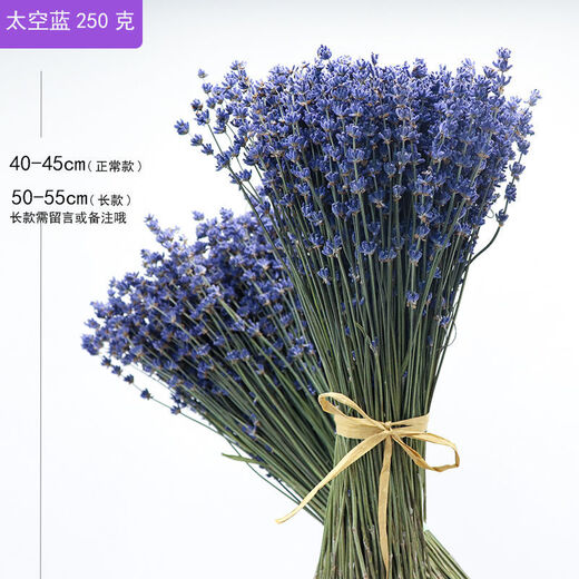 AIMAN dried lavender bouquet living room home decoration natural dried bouquet real flower aromatherapy internet celebrity flower arrangement ins gift 100g space blue dark blue new summer flowers all in English newspaper packaging