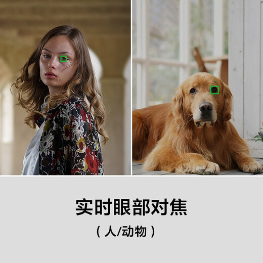 Sony (SONY) ILCE-7RM3A full-frame mirrorless digital camera about 42.4 million effective pixels 5-axis anti-shake a7r3a Tamron 28-200 (large aperture, one lens to conquer the world) official standard configuration