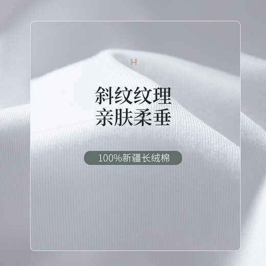 Hanny (HANY) No-iron White Shirt Men's Business Long Sleeve Pure Cotton Casual Wedding Suit High-Level Professional Wedding Men's White Shirt Autumn Salva Pure White [Windsor Collar-Text-Pure Cotton] 42
