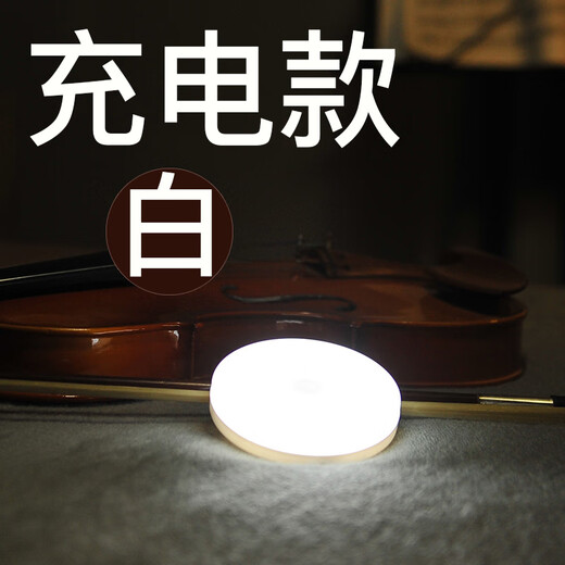 Ziyu Rechargeable Wall Lamp LED Induction Night Light Smart Charging Night Light Human Body Sensing Corridor Corridor Bathroom Human Body Sensing White Light