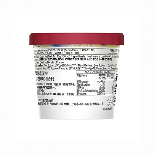 Haagen-Dazs classic vanilla ice cream 100ml/cup ice cream