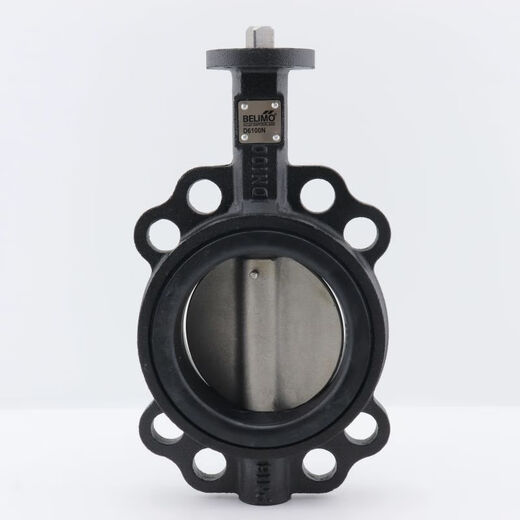 XMSJBelimo Electric Schmetterlingsventil Einstellung Schalter Temperaturregelregel Wasserventil D680N/SR24A-5/230A-5 Bolimou R679ao