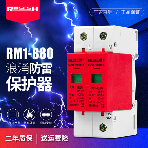 Shanghai People's 2P/4P first-level surge protector 220/380V lightning arrester lightning switch surge protector anti-lightning single-phase-2P-80KA