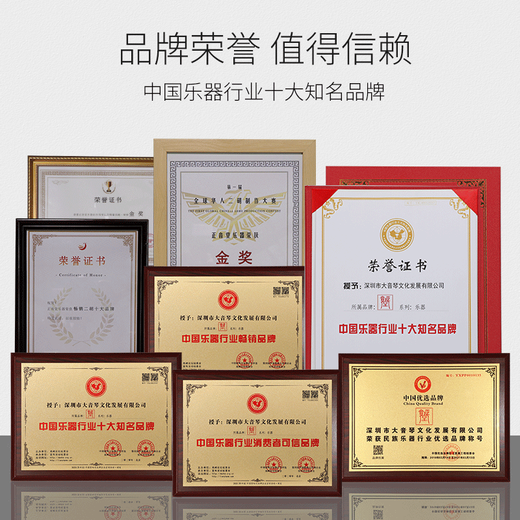 正音堂葫芦丝民族乐器专业演奏C调降B调乌木管镶孔成人儿童小学生专用 黑檀木管降B调葫芦丝