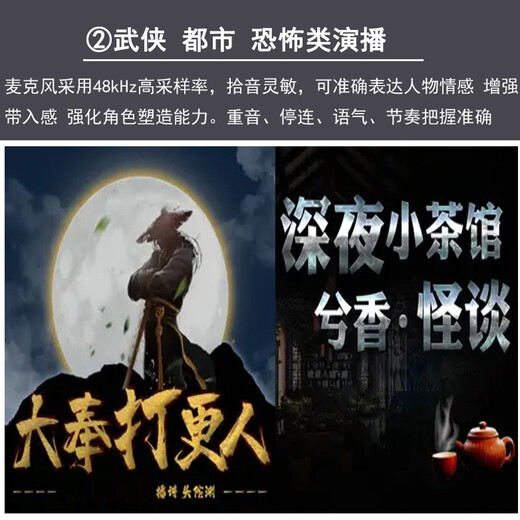 Burren Bell BL520X-USB condenser microphone audiobook special recording equipment professional novel Himalayan mobile phone microphone recitation dubbing broadcast set anchor recording studio level official standard