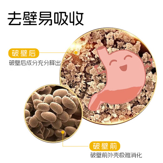 Zixiancao Broken Wall Organic Ganoderma lucidum Spore Powder Yunnan Gaoligong Mountain Imitation Wild Planting Official Genuine 4 Box Pack