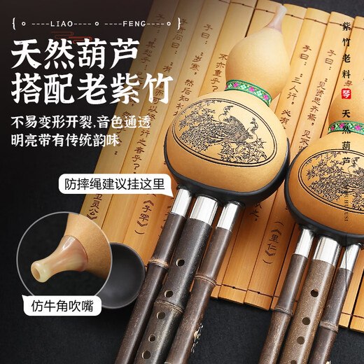 蓼风紫竹葫芦丝中小学生专用专业演奏型小学儿童初学者防摔胡芦丝乐器 防摔独奏款【黑檀管】C调+盒