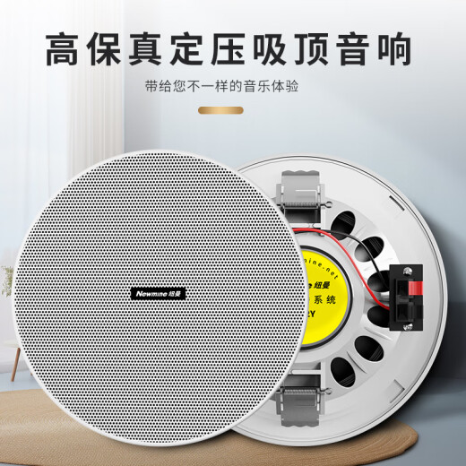 纽曼（Newmine）R106吸顶音响套装蓝牙定压功放机公共广播家用客厅商用会议店铺背景喇叭嵌入式隐藏吊顶音箱一拖六
