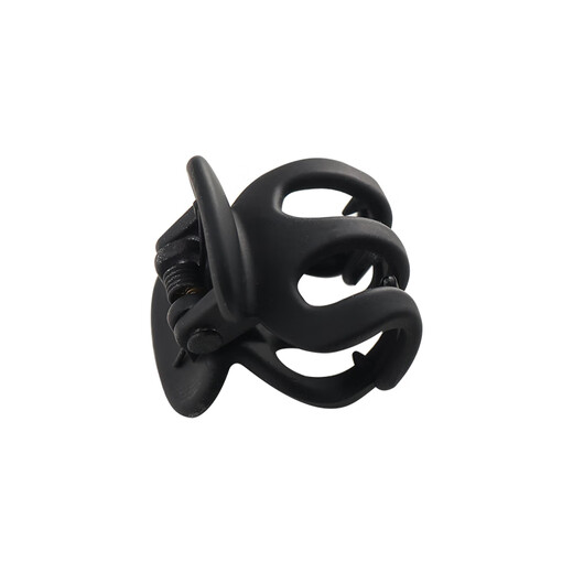 Xiang Wan Hair Clips 10 Pack Princess Head Clips Bangs Clips Frosted Premium Mini Shark Clips Hair Clips for Women