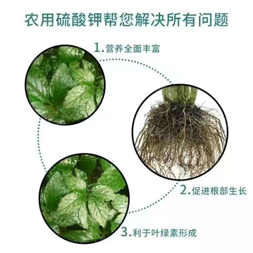 Agricultural Potassium Sulfate General Fertilizer for Fruit Trees and Vegetables Fully Water-soluble Potassium Fertilizer Nutritional Quick-acting Potassium Sulfate 50kg 100Jin Jin equals 0.5kg One bag of original factory packaging