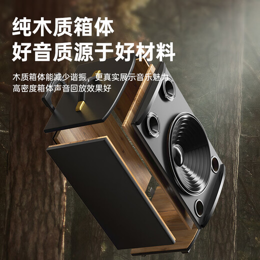 Shinco T30 square dance audio outdoor trolley Bluetooth speaker three-speaker heavy bass wooden box home karaoke mobile stall subwoofer 8-inch single microphone