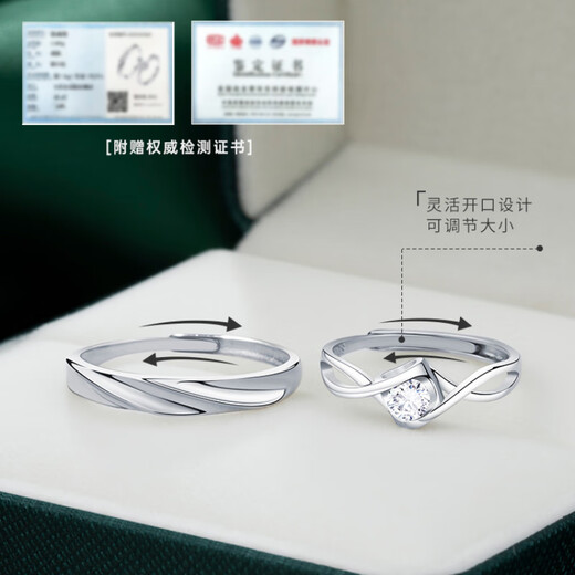 MZMZ Platinum Ring Eternal Couple Ring Pt950 Platinum Engagement Wedding Birthday Anniversary Gift for Girlfriend Light Luxury Style - Eternal Couple Ring