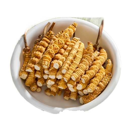 Authentische tibetische Gegend naqu großes gebrochenes Gras frisch cordyceps sinensis gebrochenes gras cordycep