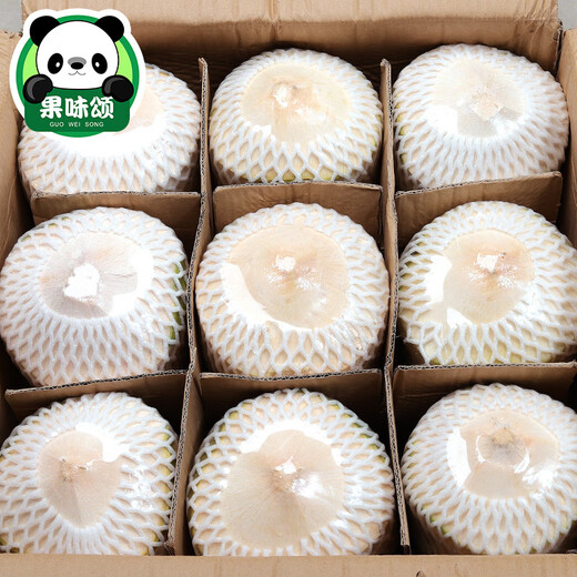 
Hainan coconut green fresh coconut 9 now peeled old coconut big pregnant women's fruits in the whole box of seasonal specialties 4 - 1050g (inclusive) or above