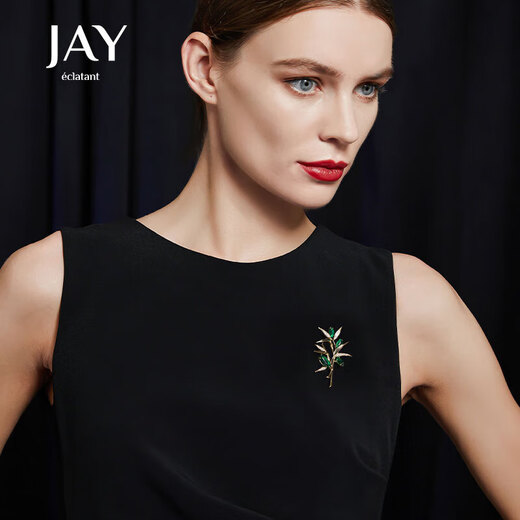 Jay's new Chinese style brooch for women's clothing and accessories as a birthday gift for mom, mother-in-law and elders