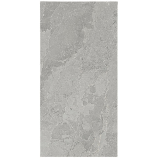 XMSJ瓷砖CH127401274812040R1012668126501229012688AS CH12040R10 600mmx1200mm