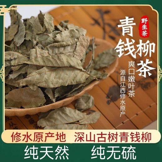 北京同仁堂青钱柳原叶茶江西野生古树原叶成叶茶正品金钱柳养生茶清钱柳无糖内廷上用 原叶青钱柳 5克