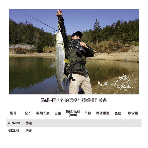 达亿瓦（DAIWA） 21款ZILLION 子龙 竞技路亚竿比赛远投碳素鱼杆鲈钓精细作钓泛用 2.03m 川村682/MLFS