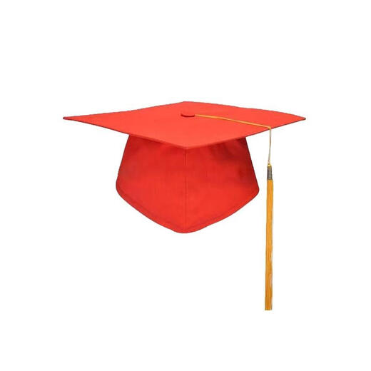 奥义驰成人礼帽定制学士帽博士帽硕士帽学位帽十八岁帽现货供应毕业典礼 硕士帽子（纸板） 均码
