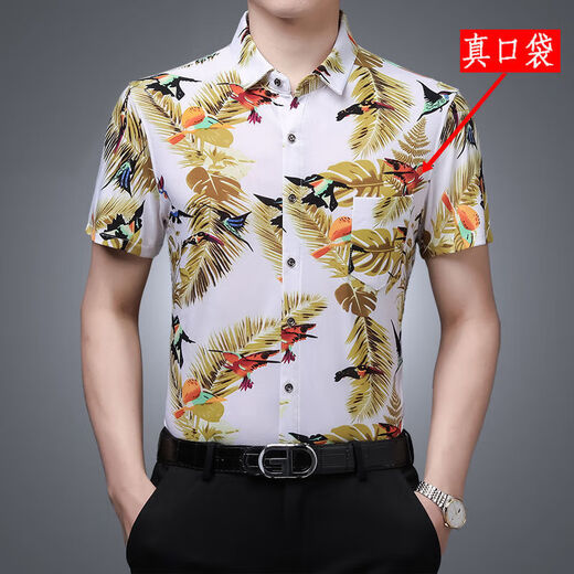 Beijiqi Sommer dünne kurzärmelige Männer-Blumenhemd mit mittleren und jungen koreanischen Drucken großer Größe Lose Männerhemd Herren Top 9913 Blue Ice Seide ohne Taschen 175/92A [145-160]