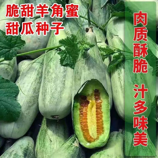 Super sweet croissant honey melon seeds, thin-skinned rock sugar melon seeds, four-season seeds, patio balcony potted fruit seeds, many people buy croissant honey seeds, high sweetness, new species, 2 packs of about 200 seeds + fertilizer
