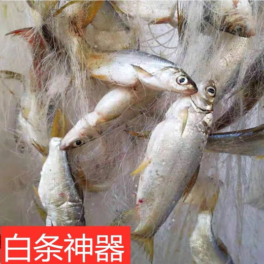 Yulejia fishing net, wire mesh, sticky fish net, three-layer fish net, small fish net, fish-sticking fishing net, hanging net, white striped fish net, weighted sinking net, 1.2 meters high, 50 meters long, 1 finger, three-layer weighted sinking net