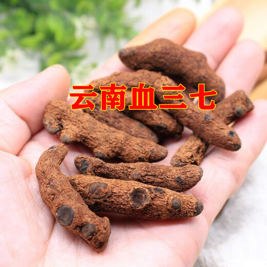 Peking Tongrentang Authentische Yunnan Wildblut Panax Notoging Chinesische medizinische Materialien getrocknetes Gras Neue Produkte in Weinboden Panax Notoginseng Chinesische Heilmaterial 250 Gramm