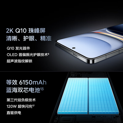 vivo iQOO 13 国家补贴 骁龙8至尊版旗舰机自研电竞芯片5G电竞手机游戏拍照娱乐vivo iqoo13 传奇版（BMW）项目定制 12GB 256GB 官方标配版