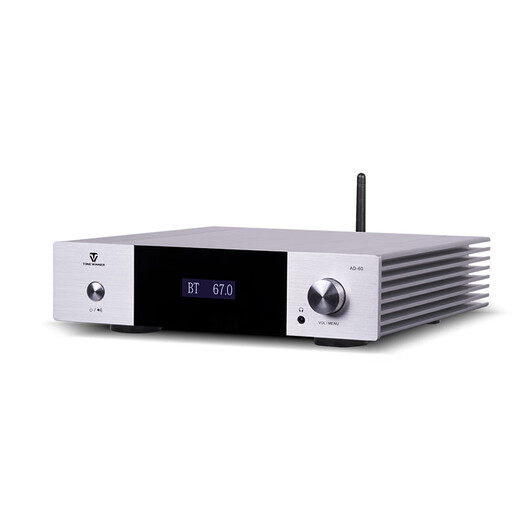 Gewinner AD-60 Klasse A und B Mini Mini HiFi-Verstärker mit Bluetooth 5.0 Home Theatre Multifunktionsverstärker Wireless Digital Broadcasting-Verstärker Audio-Set Ad-60 (Silber)