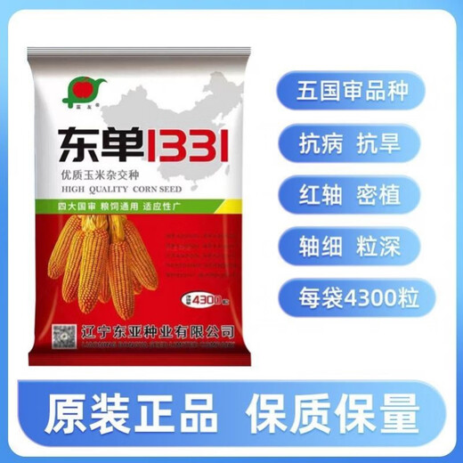 Wangyuanxing Dongya Double-National Review Dongdan 1331 Hybrid Corn Seed Small Steel Cannon - High Yield, Drought Resistance - Lodging Resistance - High Temperature Resistance - Dongdan 1331 (4200 grains) original factory quality and quantity