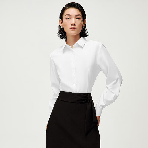 HLA Heilan long-sleeved shirt for women spring 25 temperament three-proof business professional shirt for women HNCAW1J300A